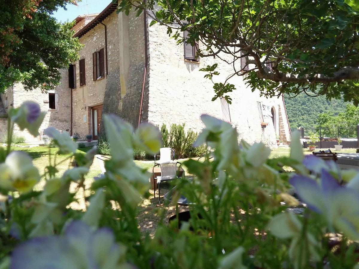Agriturismo Campagna In Compagnia Vallo di Nera Exterior photo