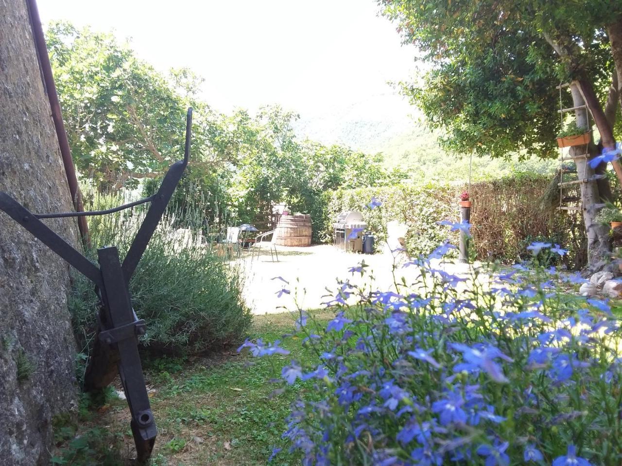 Agriturismo Campagna In Compagnia Vallo di Nera Exterior photo